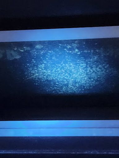 UV blacklight inspection highlighting mould activity