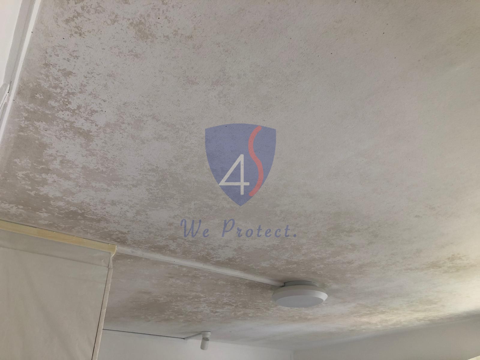 Commercial ceiling mould removed at the source by Four Solutions