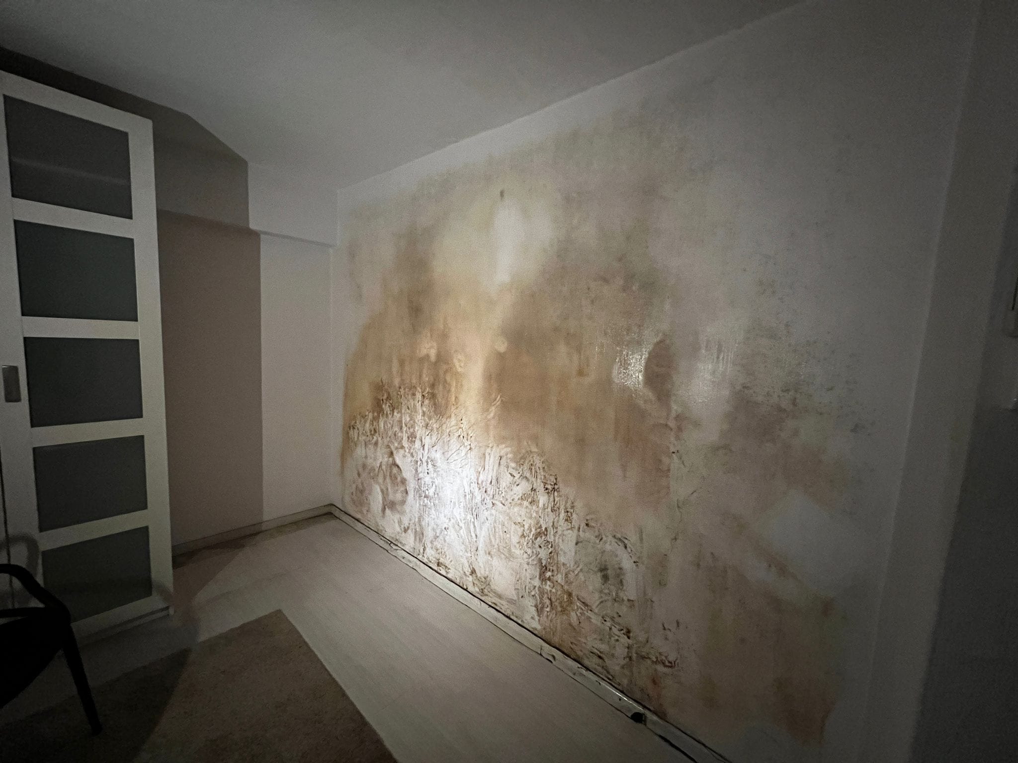 Moisture-related mould found on an affected interior wall.