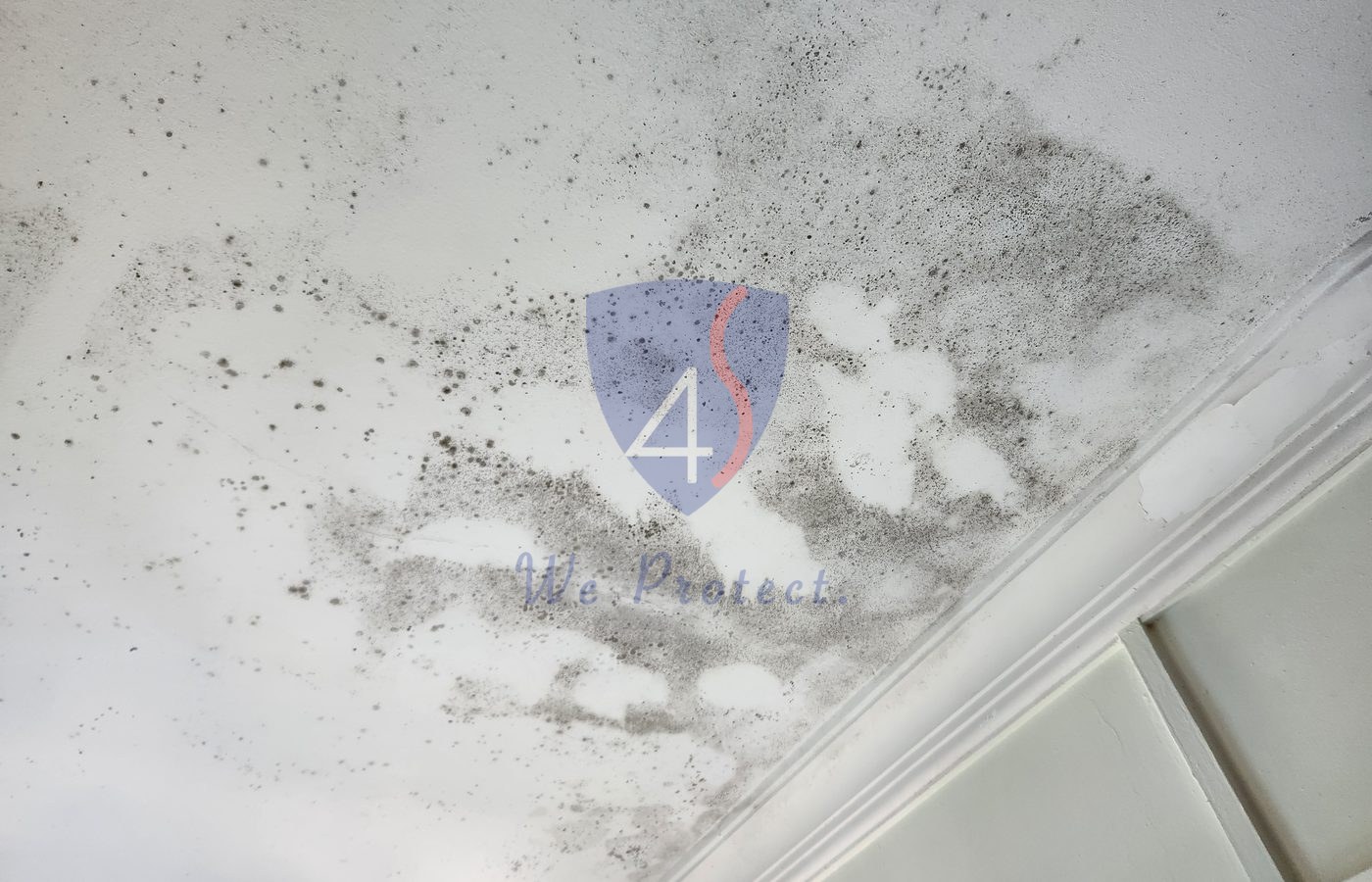 Residential ceiling mould before Four Solutions source treatment