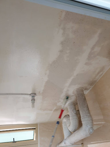 Four Solutions team treating ceiling mould in a Singapore home