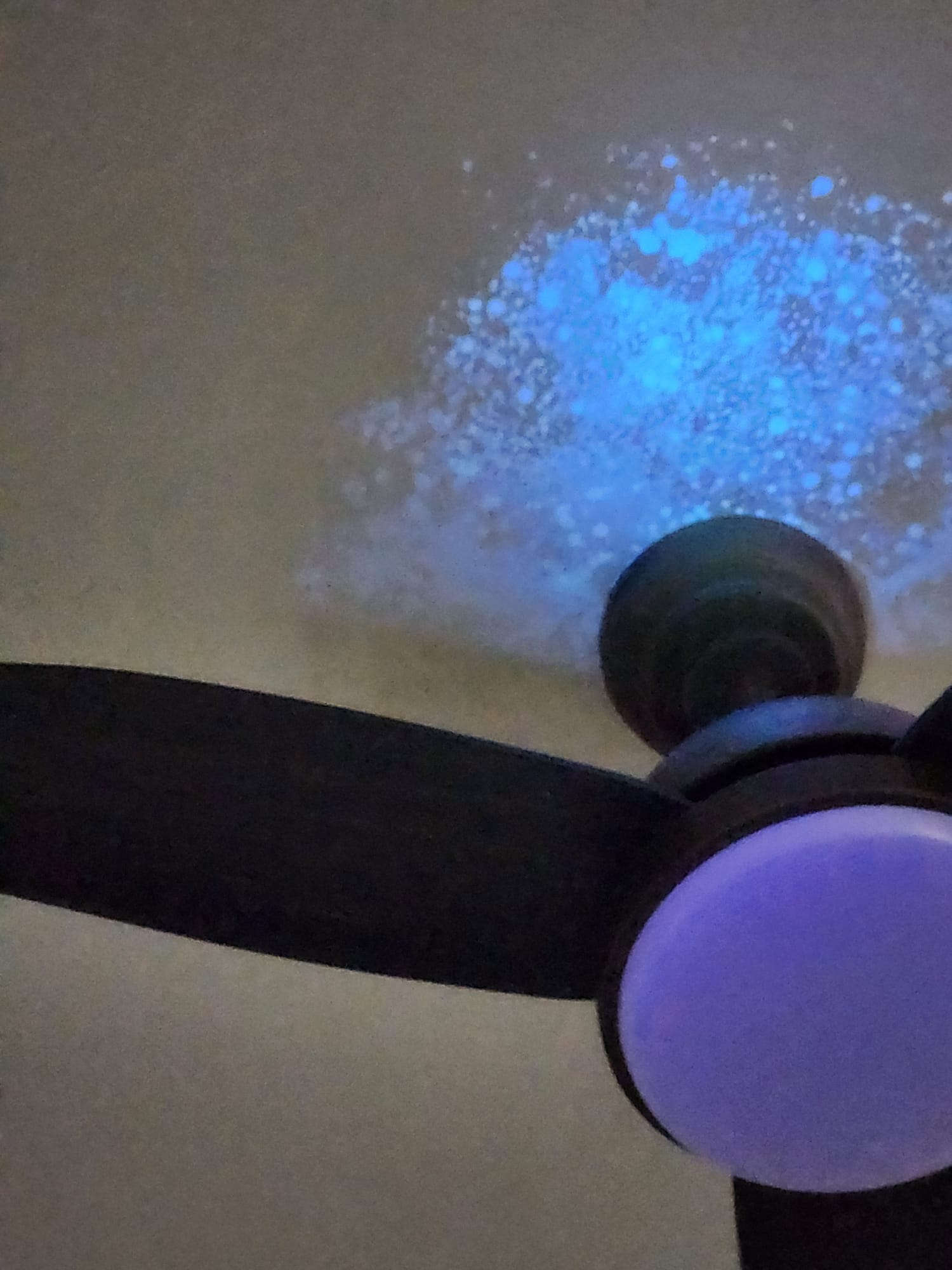 UV-assisted inspection helps identify mould activity that is not obvious under normal room lighting.