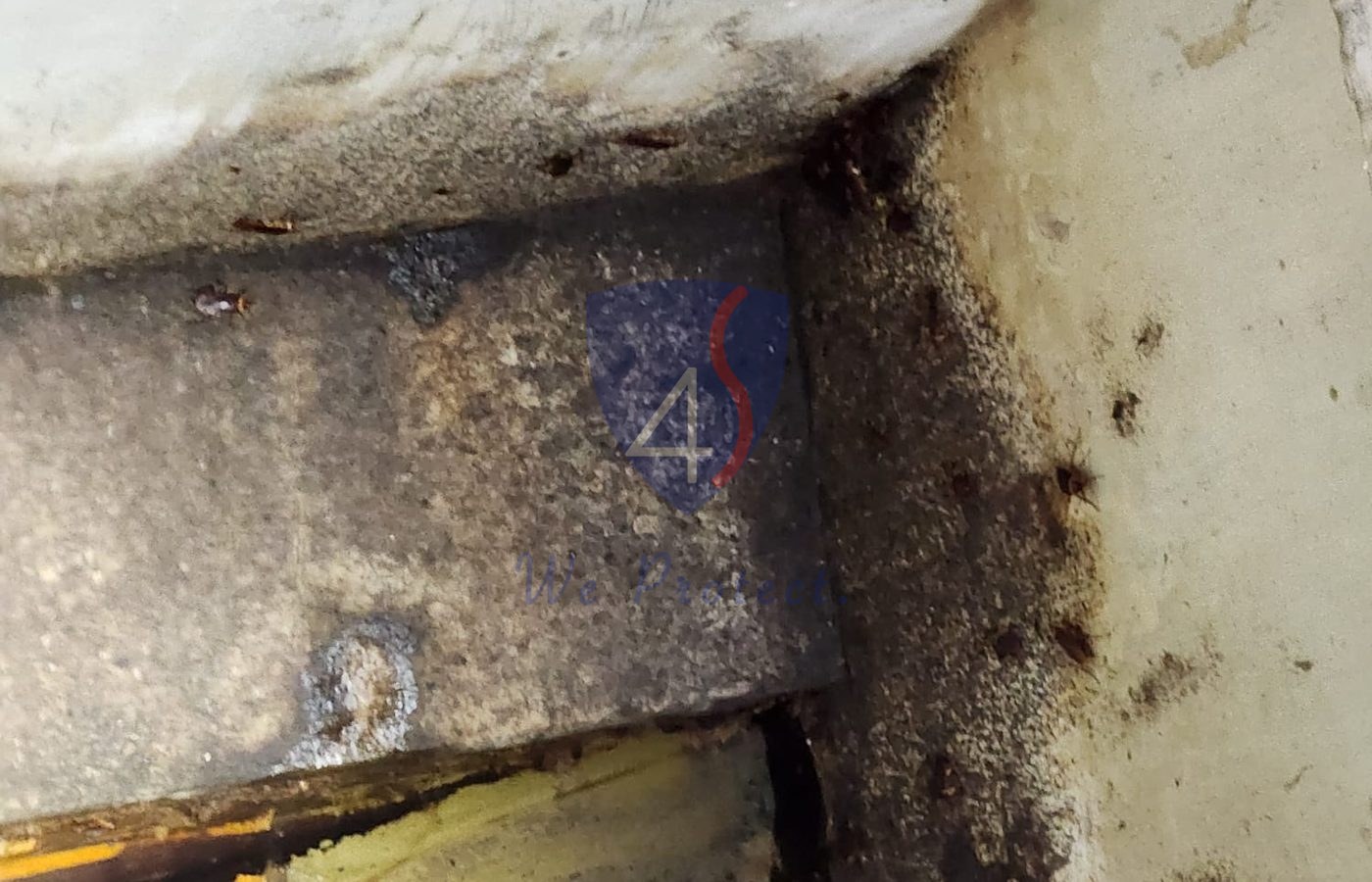 Cockroach harbourage area inspected by Four Solutions in Singapore