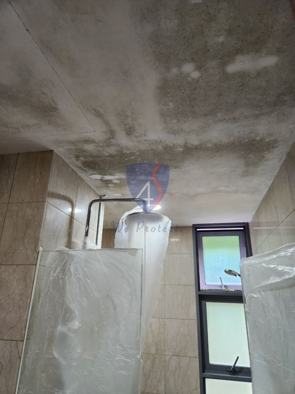 Bathroom mould and damp conditions that may support recurring Booklice activity.