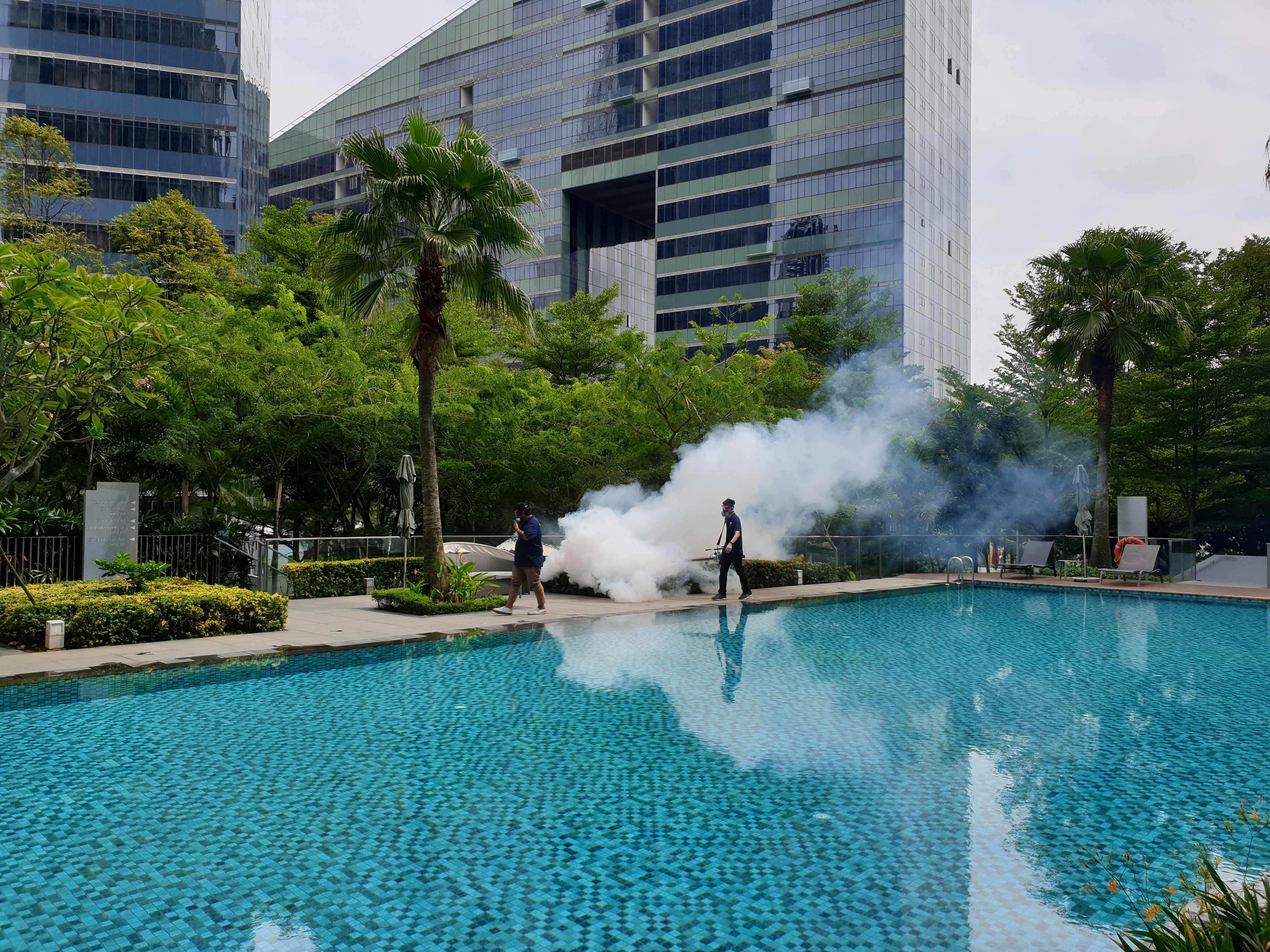 Commercial thermal fogging equipment used for appropriate larger outdoor zones.