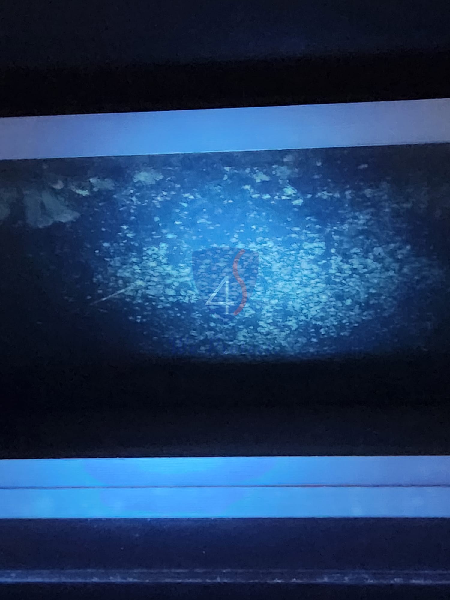 Four Solutions using UV light to map hidden mould in Singapore